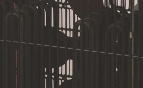 1556172549125067.jpg timg (4).jpg