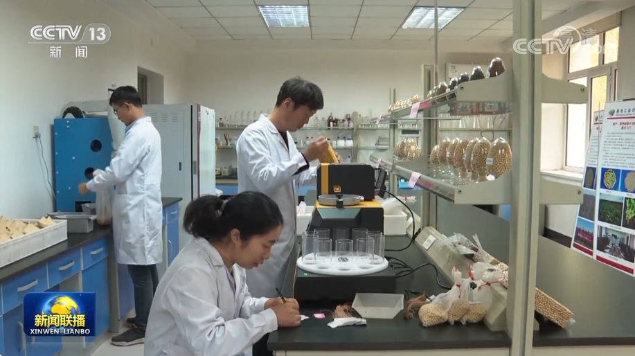 黑龙江:深挖粮食生产能力 夯实粮食安全根基