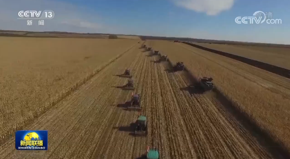 黑龙江:深挖粮食生产能力 夯实粮食安全根基