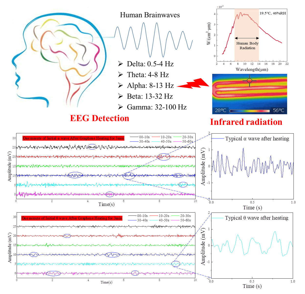 石墨烯红外辐射与脑电波活动实验测试。受访者供图